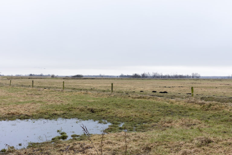 #12E South (Current) – Zuidlaren