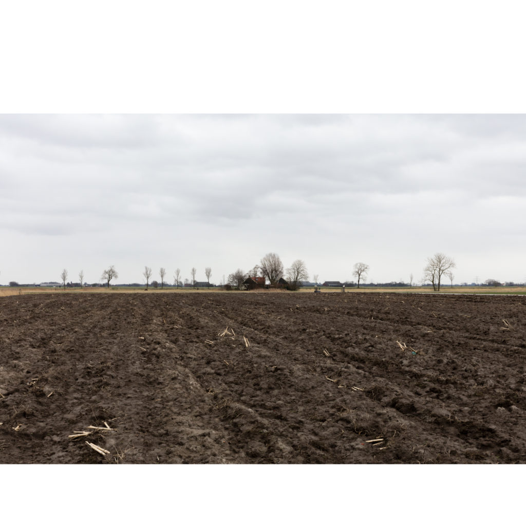 #7B East (Current) – Bedum