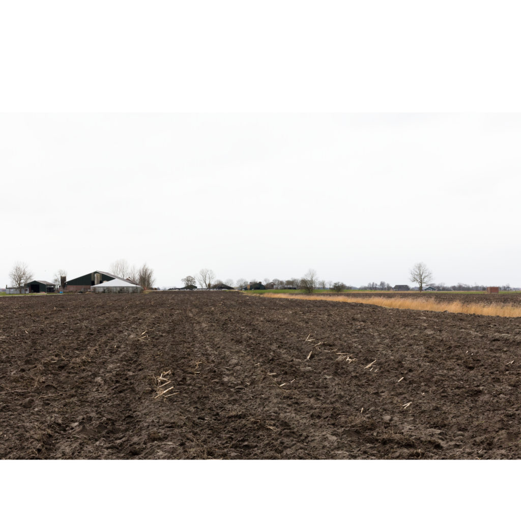 #7B West (Current) – Bedum