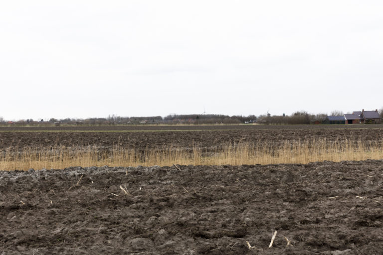 #7B North (Current) – Bedum