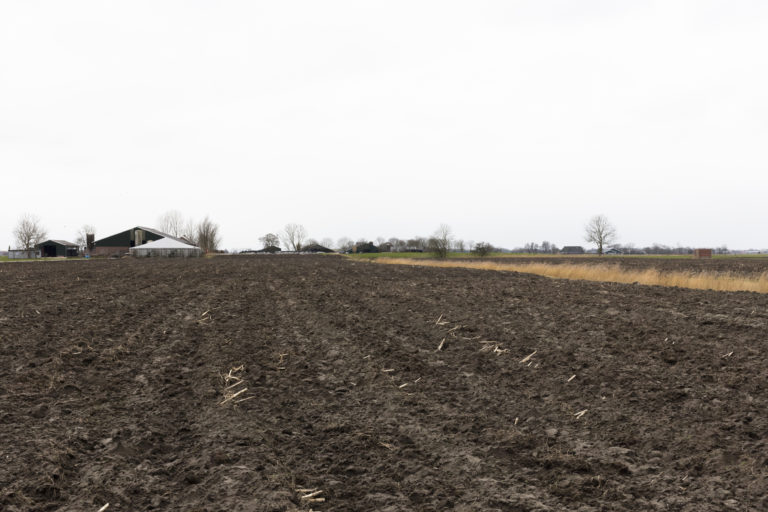 #7B West (Current) – Bedum