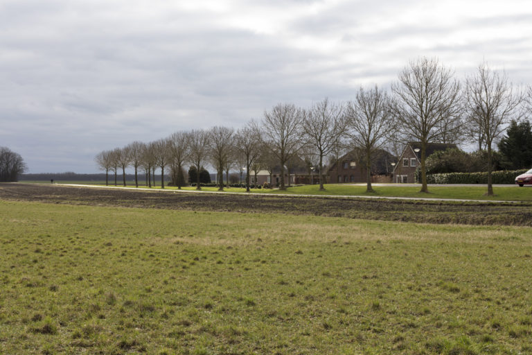 #8D South (Current) – Nieuwerschans