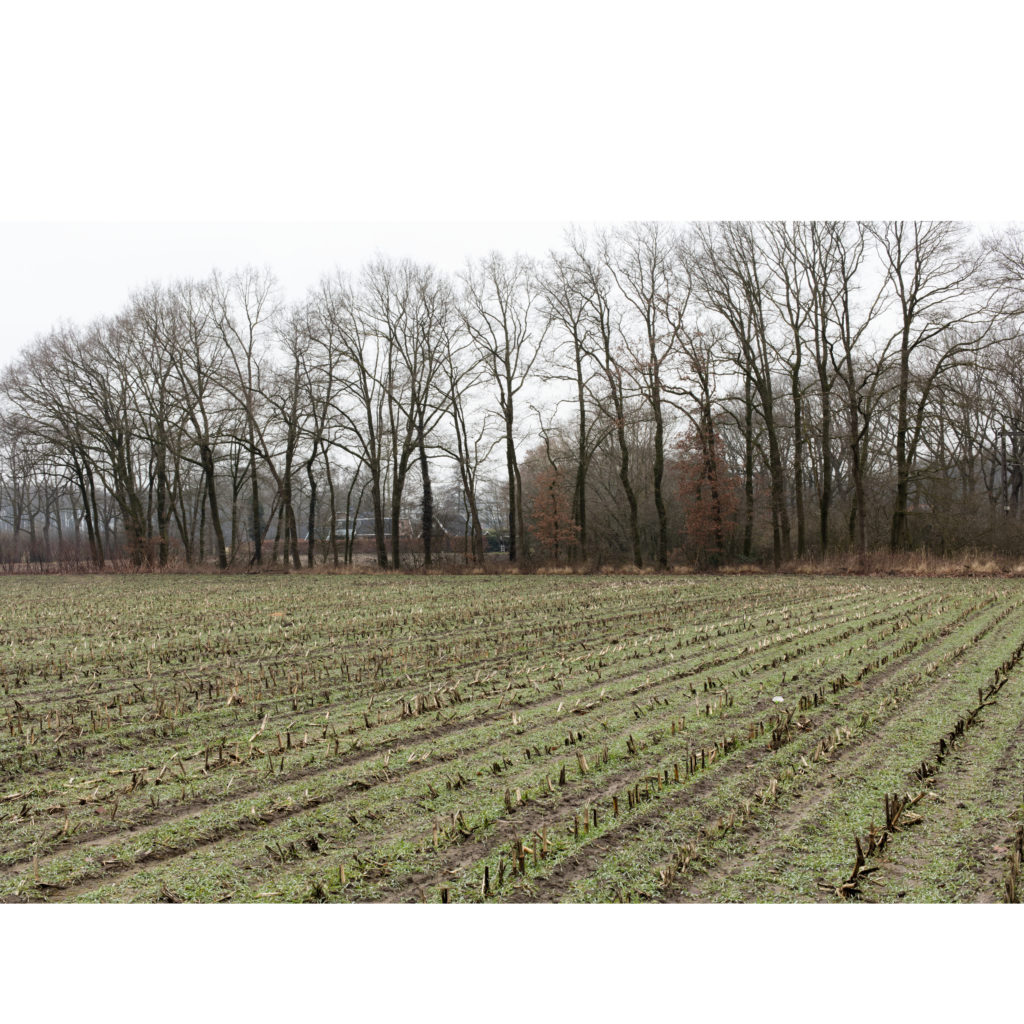 #27G North (Current) – Olst