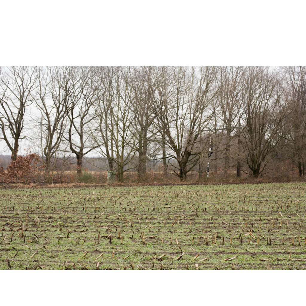 #27G East (Current) – Olst