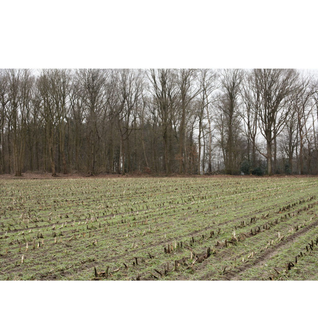 #27G South (Current) – Olst