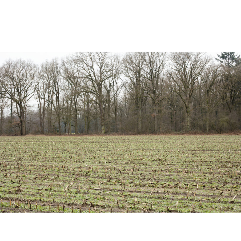 #27G West (Current) – Olst