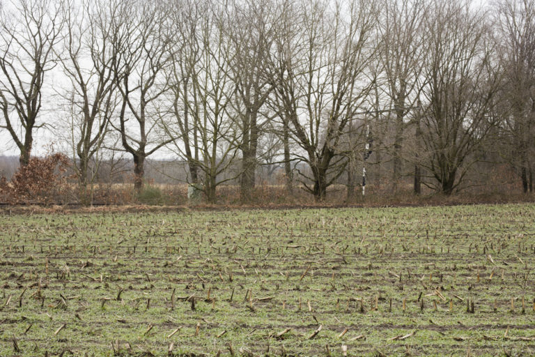 #27G East (Current) – Olst