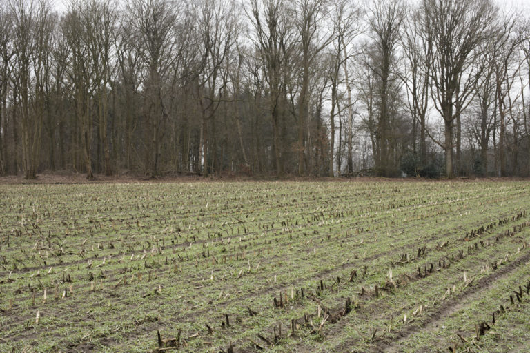 #27G South (Current) – Olst