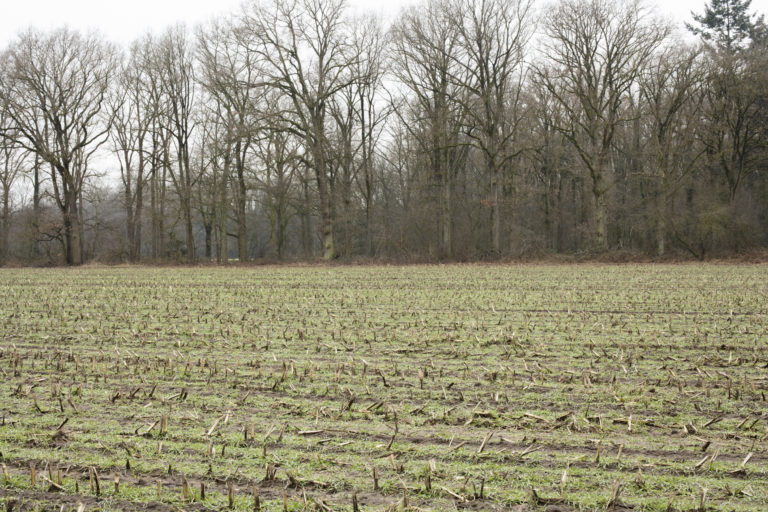 #27G West (Current) – Olst