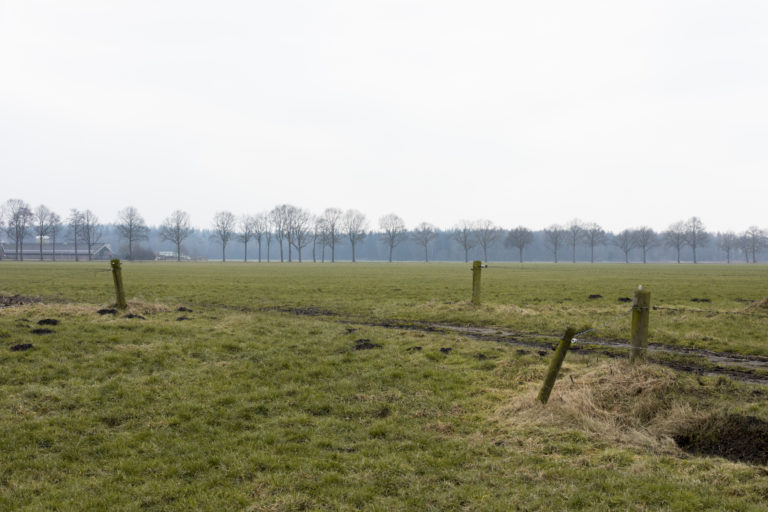 #22C South (Current) – Ommen