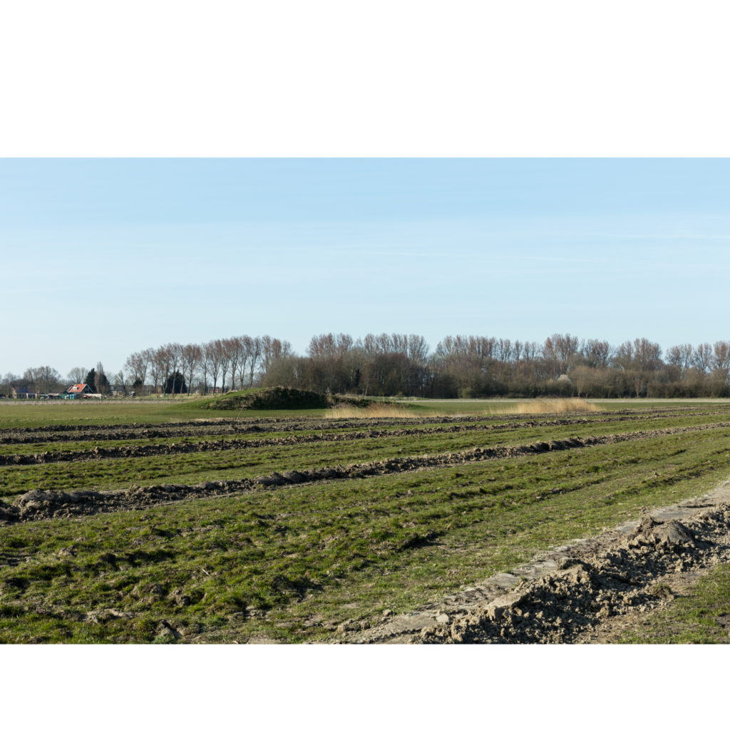 #37C North (Current) – Rockanje