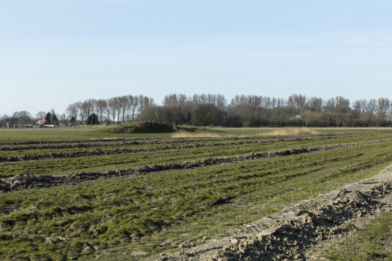 #37C North (Current) – Rockanje