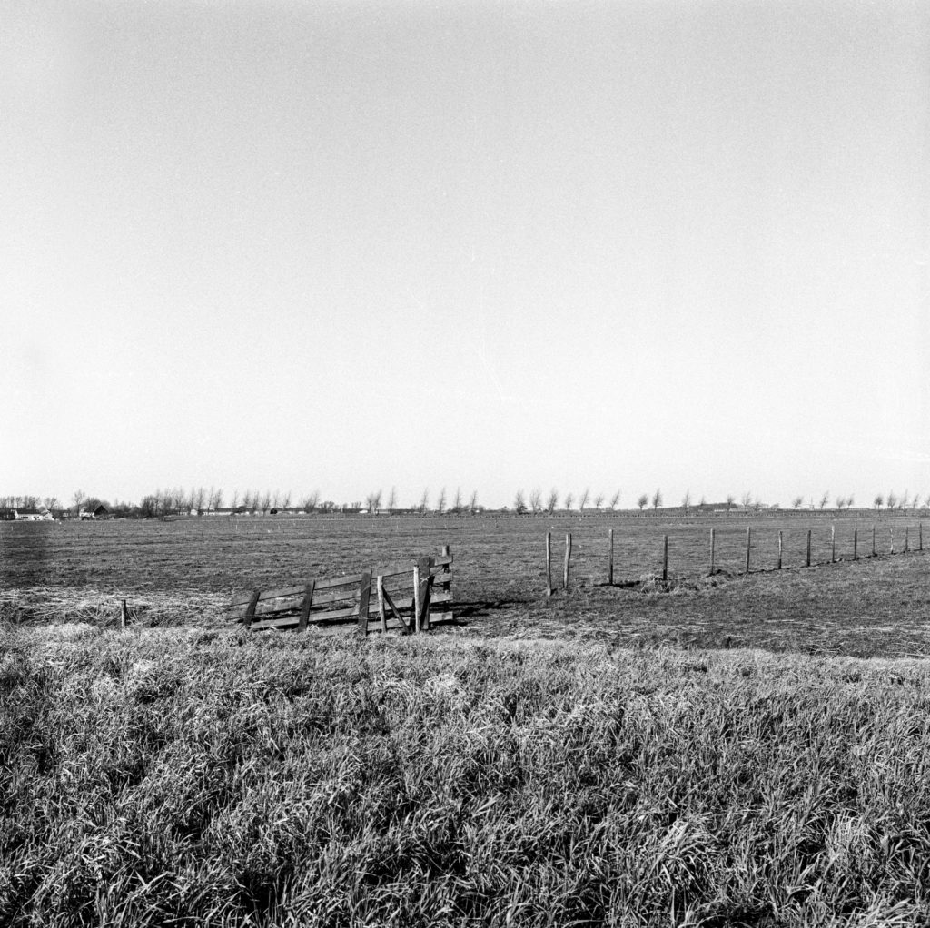 #37C North (Past) – Rockanje