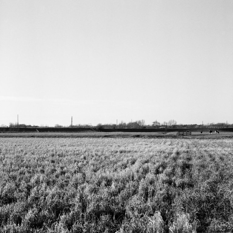 #37C West (Past) – Rockanje