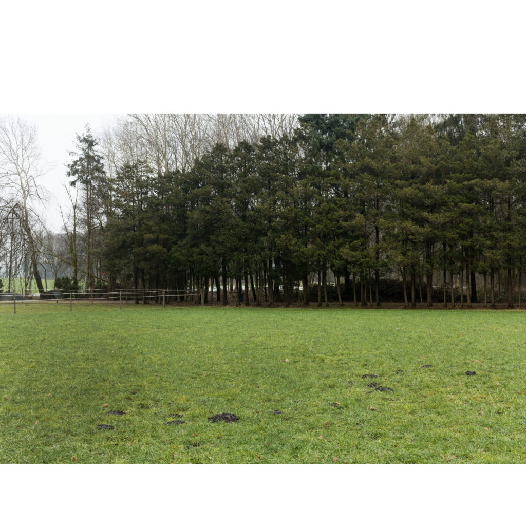 #34E East (Current) – Hengelo