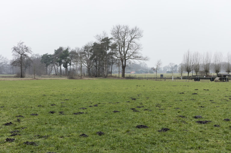 #34E West (Current) – Hengelo