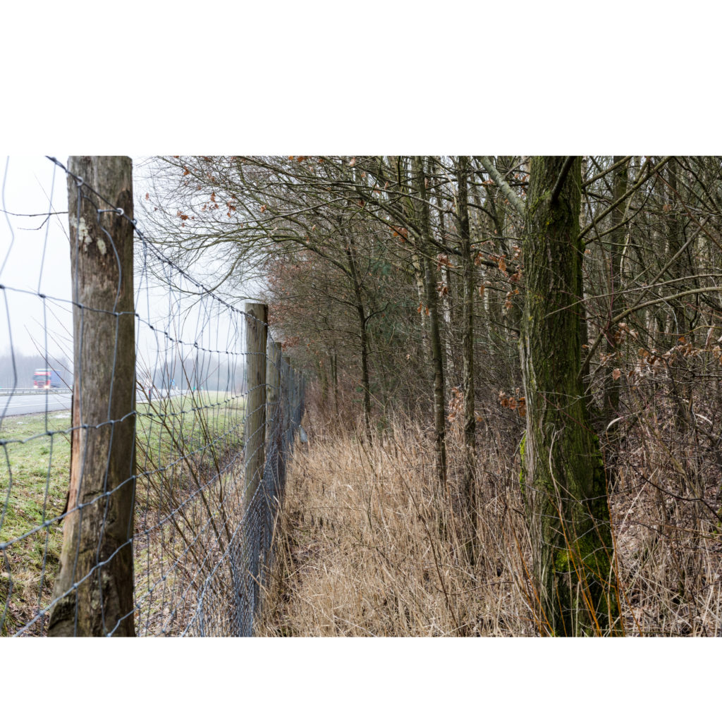 #29C East (Current) – Oldenzaal
