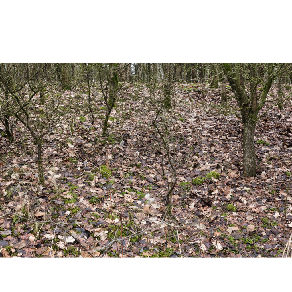 #29C South (Current) – Oldenzaal