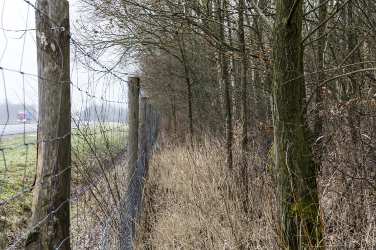 #29C East (Current) – Oldenzaal