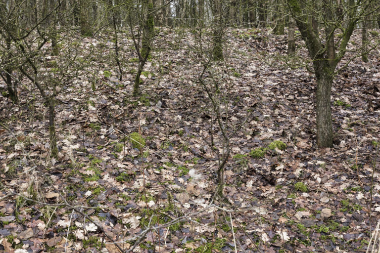 #29C South (Current) – Oldenzaal