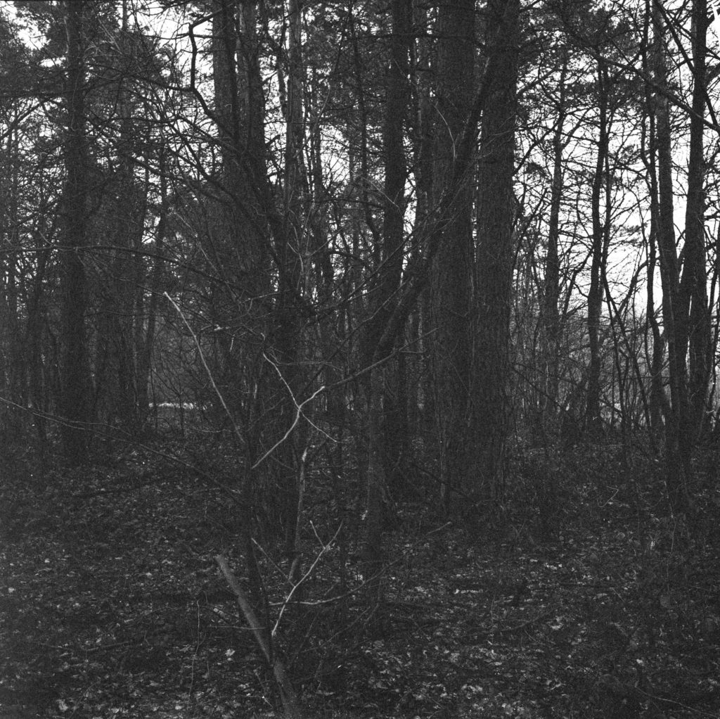 #29C South (Past) – Oldenzaal