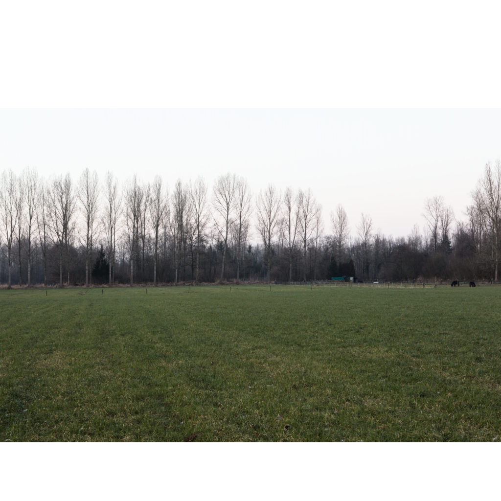 #51B North (Current) – Best