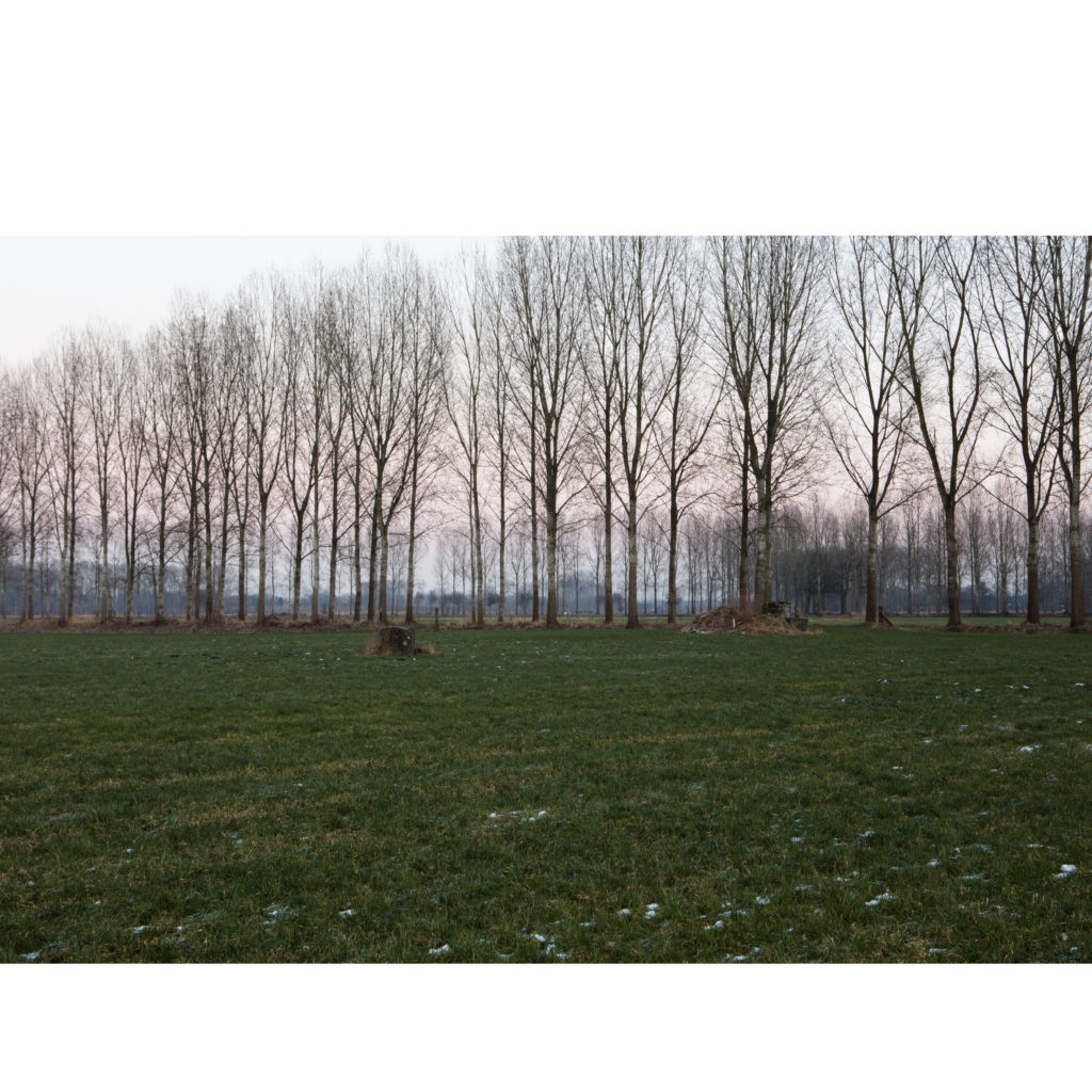 #51B East (Current) – Best