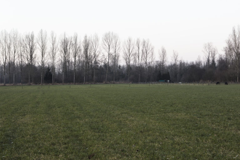 #51B North (Current) – Best