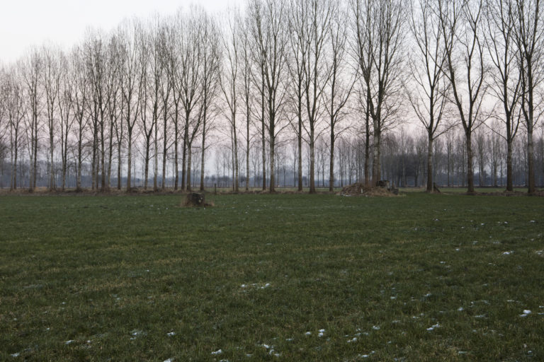 #51B East (Current) – Best