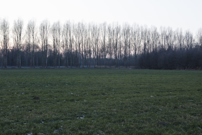 #51B West (Current) – Best