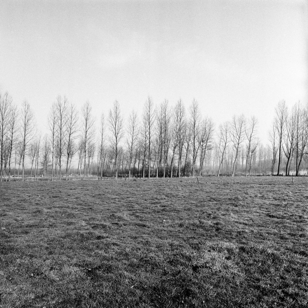 #51B North (Past) – Best