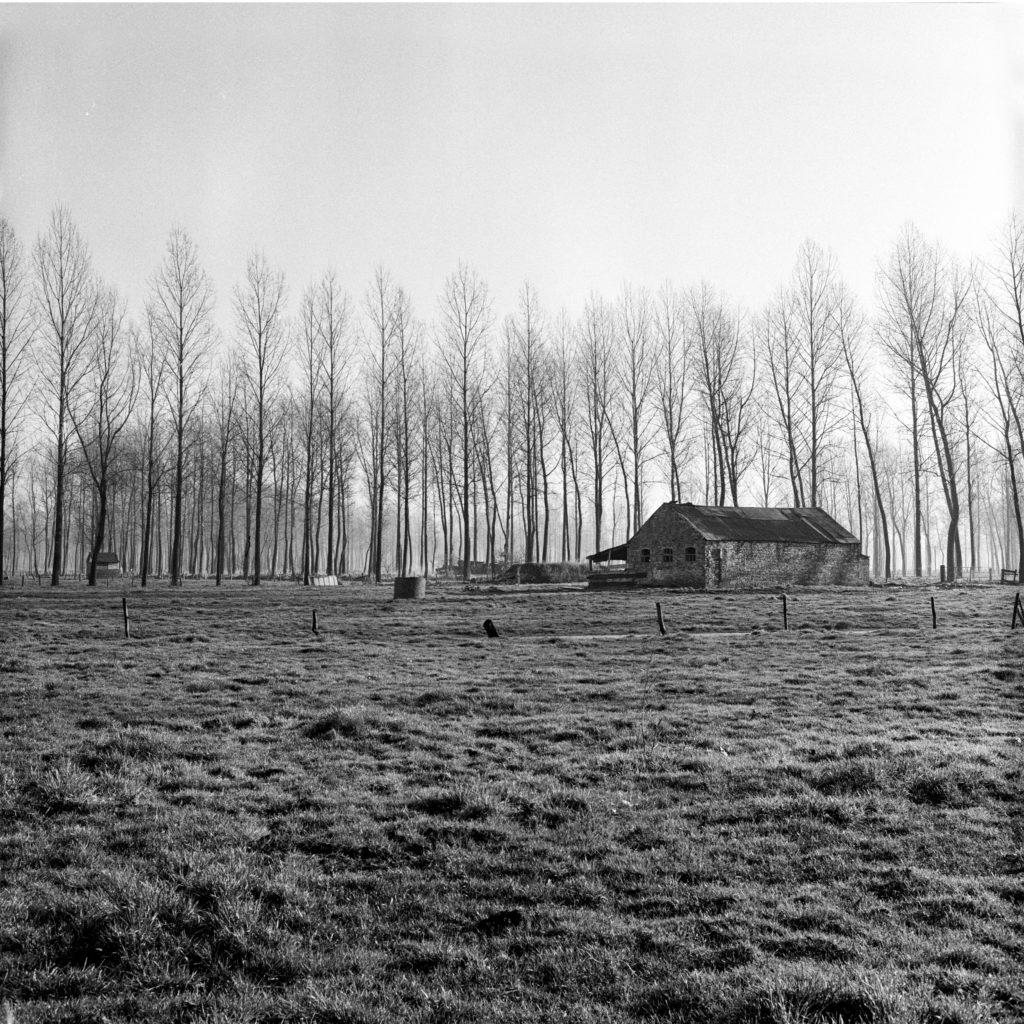 #51B East (Past) – Best