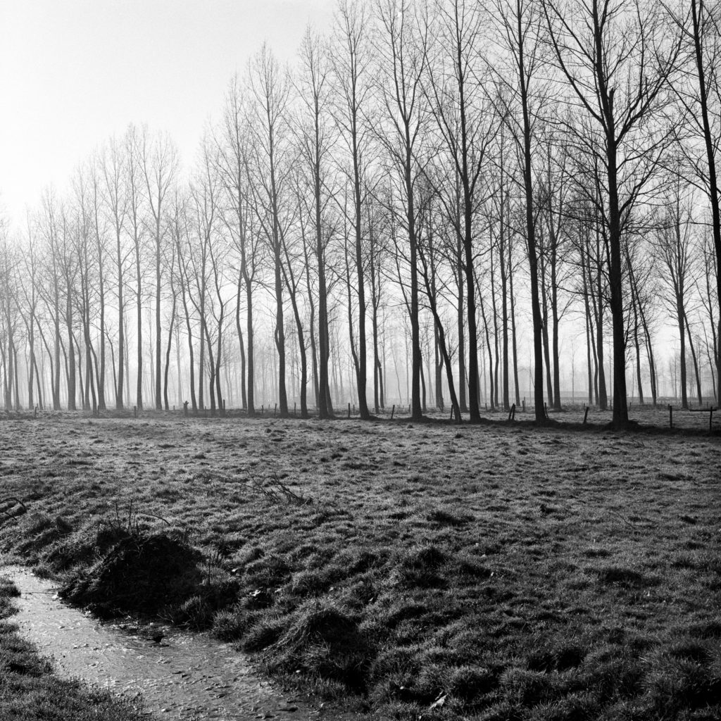 #51B South (Past) – Best