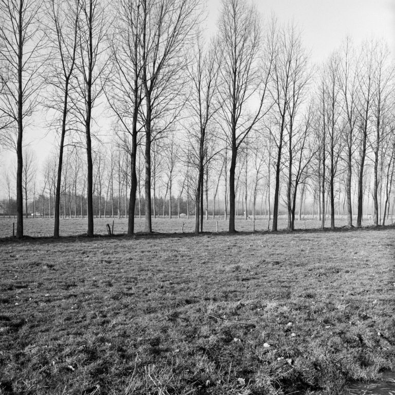 #51B West (Past) – Best