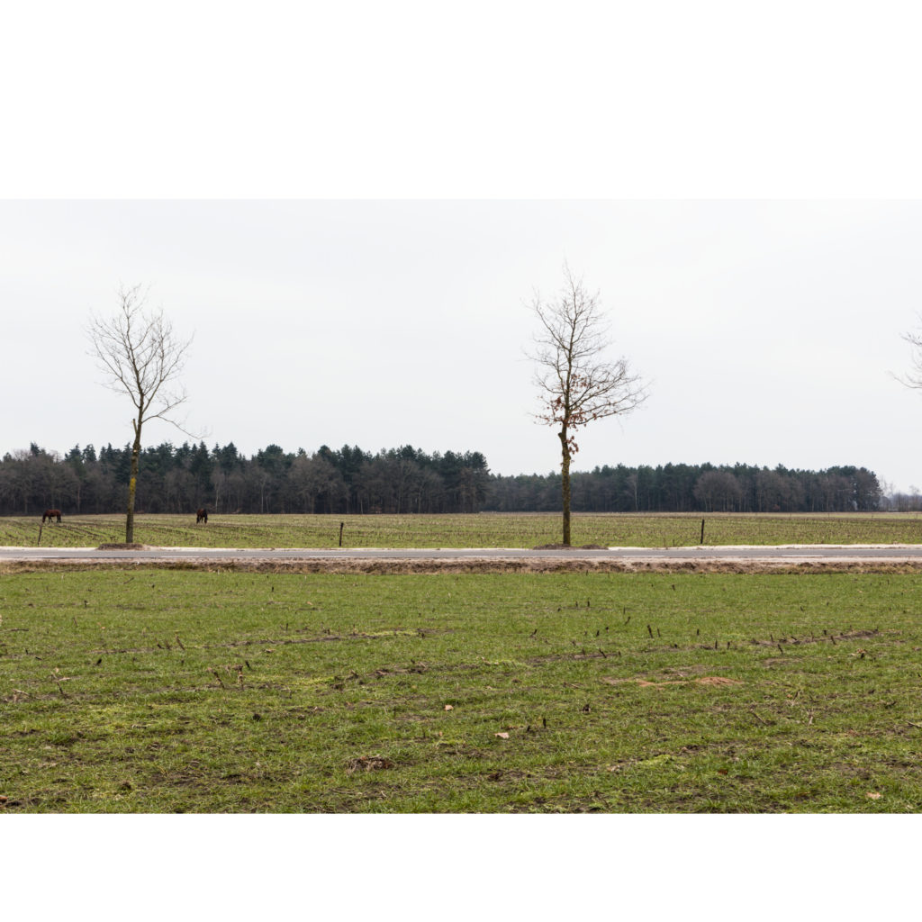 #52D East (Current) – Horst