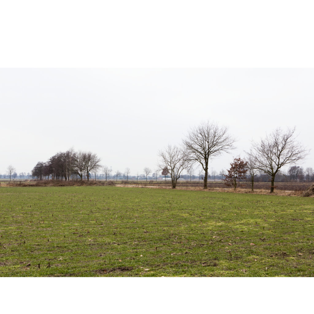 #52D West (Current) – Horst