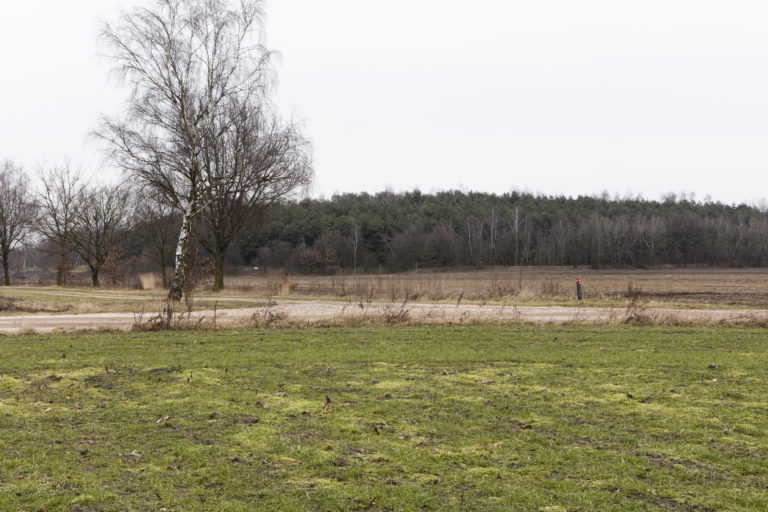 #52D North (Current) – Horst