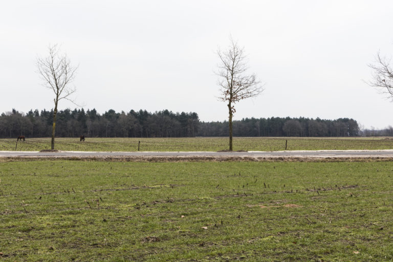 #52D East (Current) – Horst