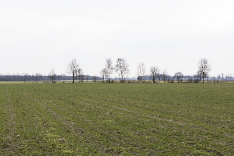 #52D South (Current) – Horst