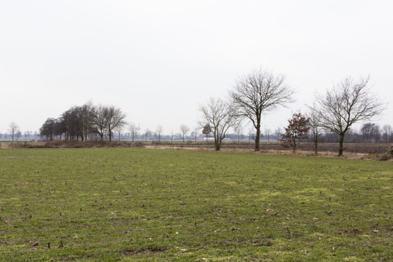 #52D West (Current) – Horst