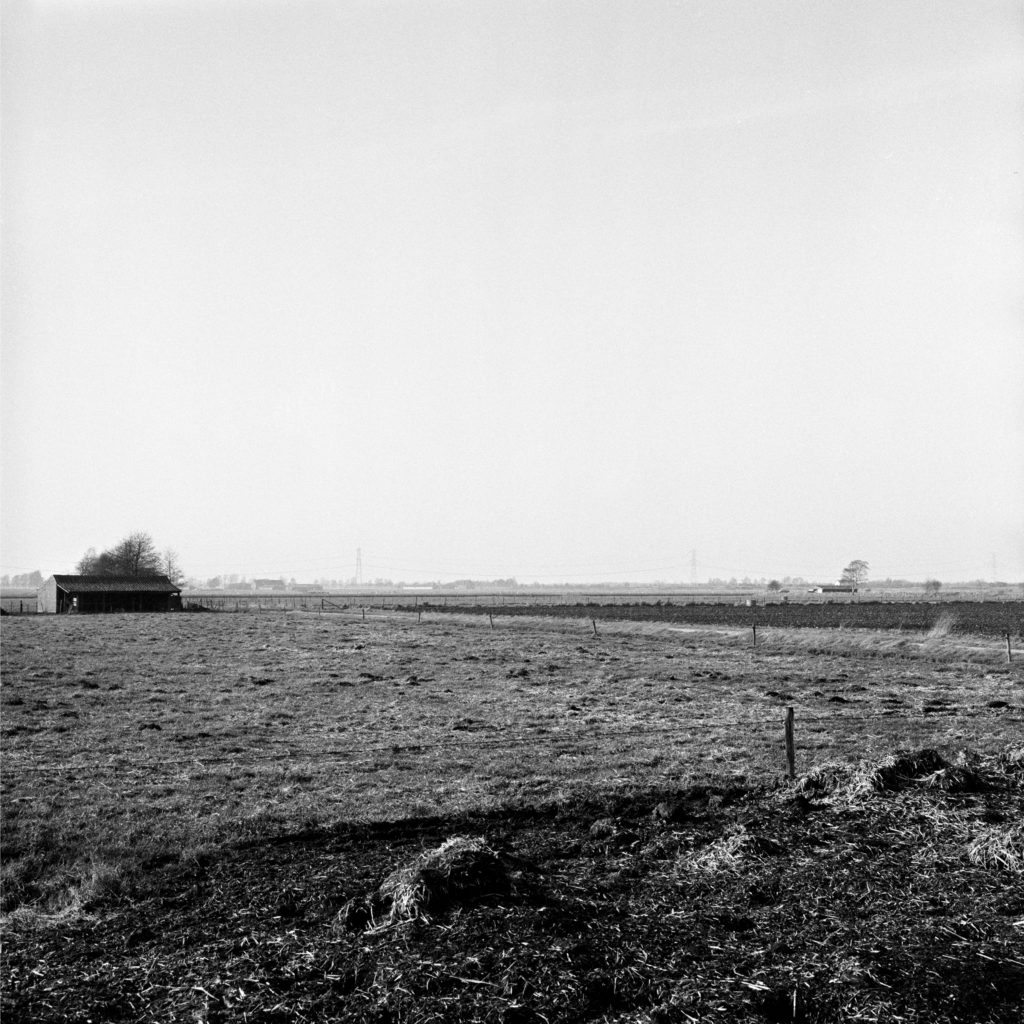 #52D West (Past) – Horst