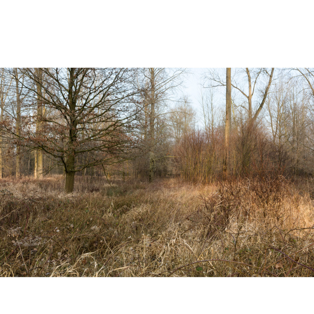 #57F North (Current) – Weert