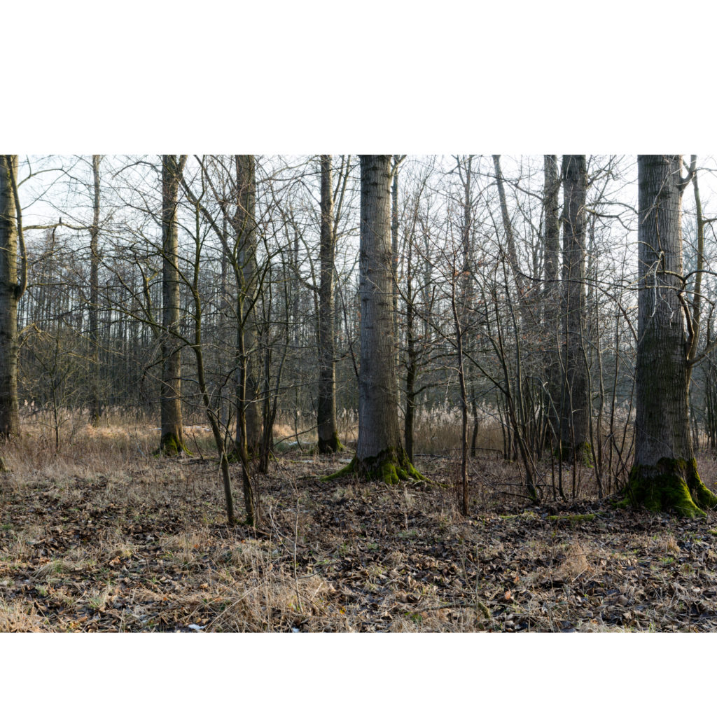 #57F South (Current) – Weert