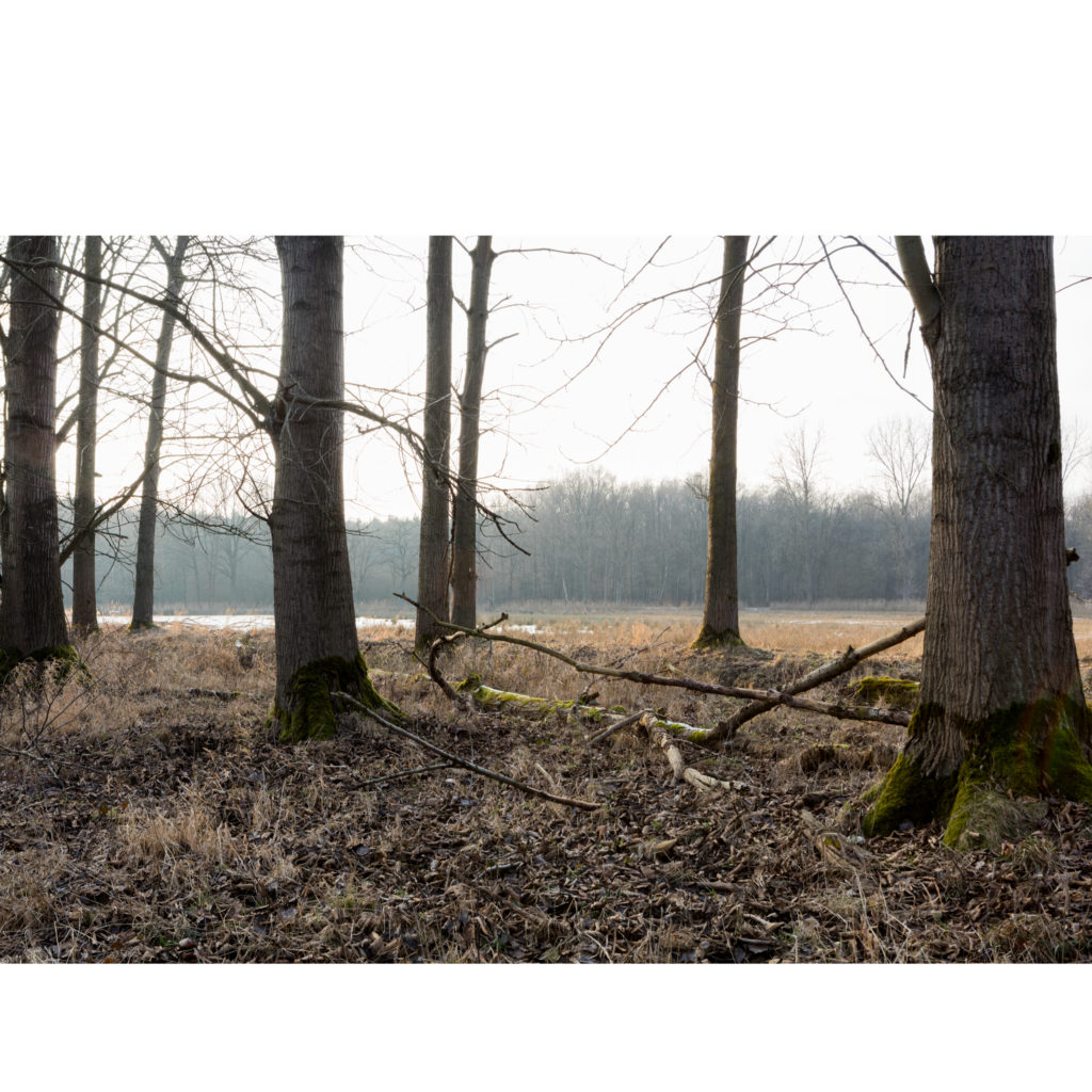 #57F West (Current) – Weert