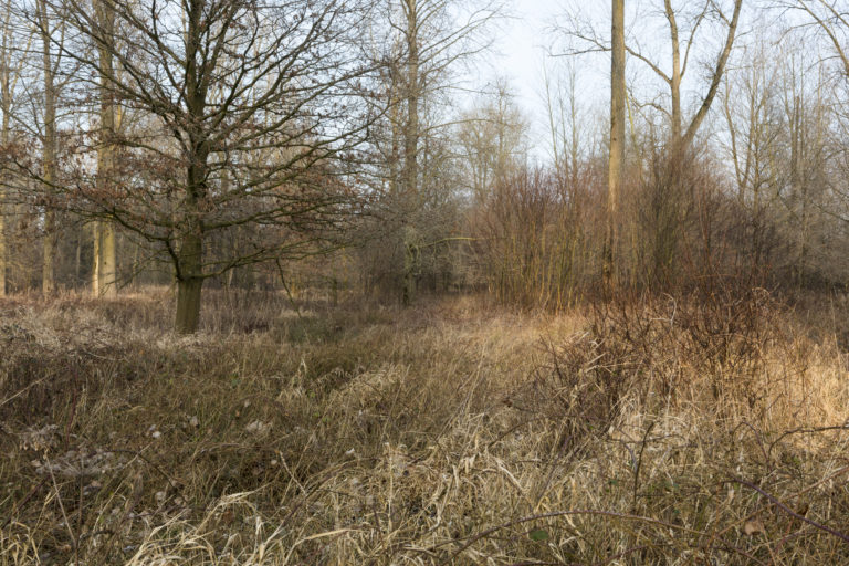 #57F North (Current) – Weert