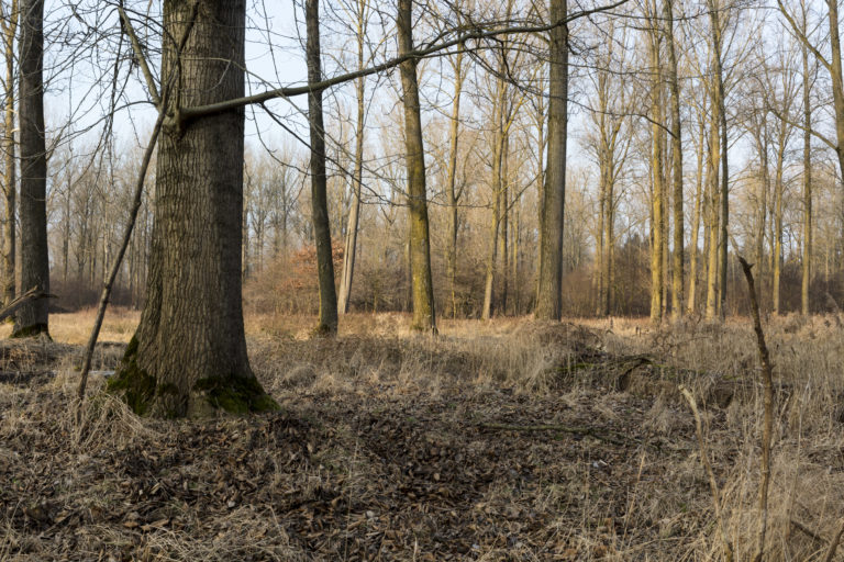 #57F East (Current) – Weert