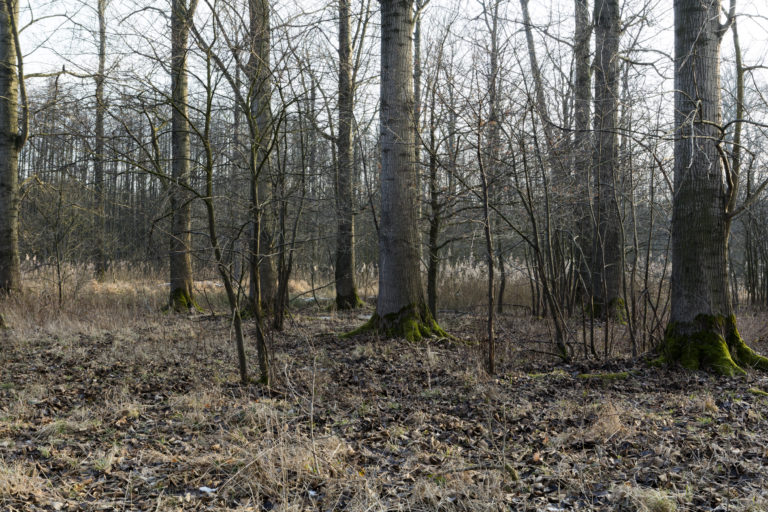 #57F South (Current) – Weert