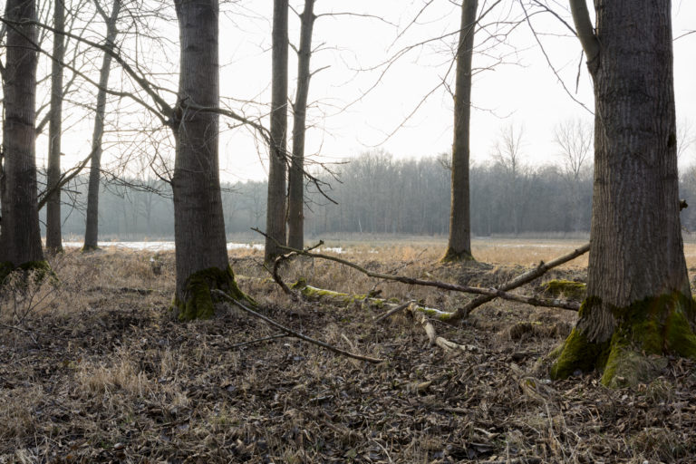 #57F West (Current) – Weert