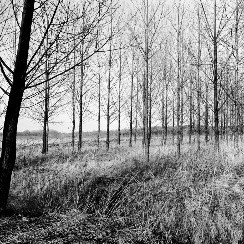 #57F North (Past) – Weert