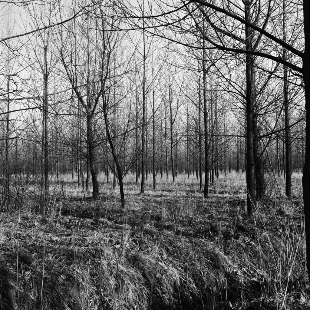 #57F East (Past) – Weert